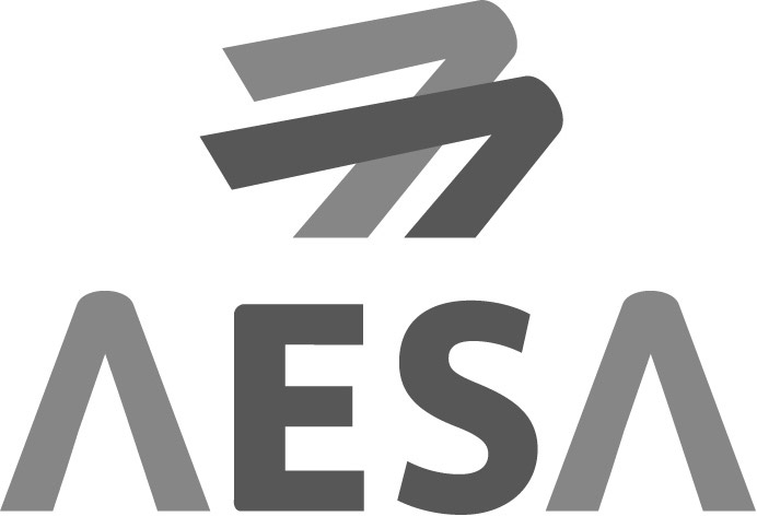 logo-aesa-brok-air-aviation-group